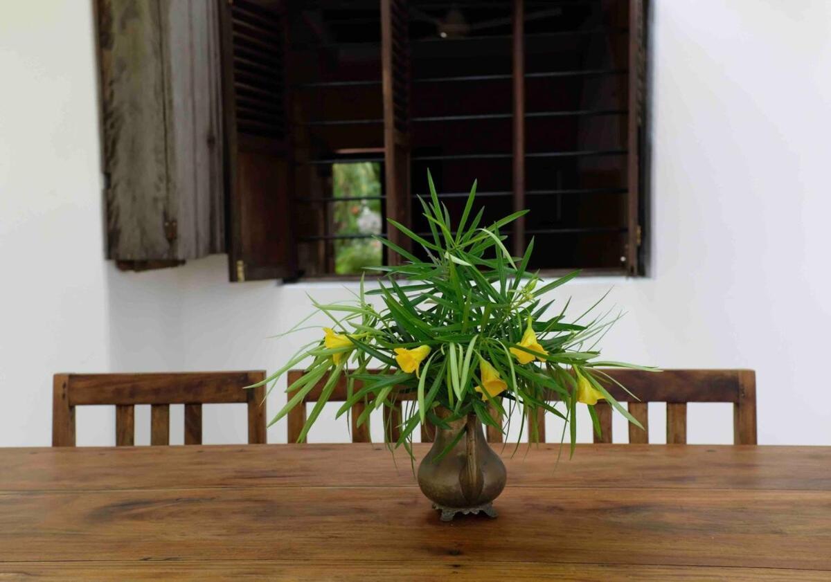 Mwendawima Villaer Jambiani (Zanzibar)