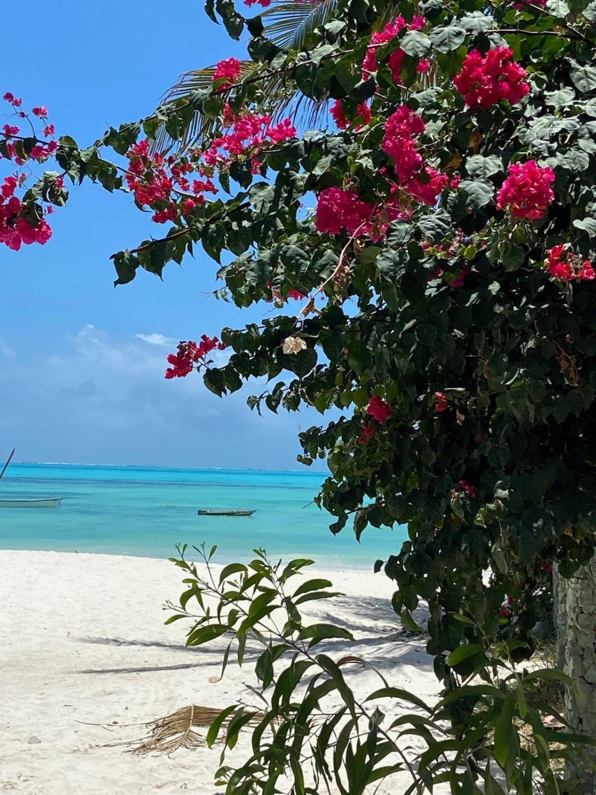 Villaer Mwendawima Jambiani (Zanzibar)